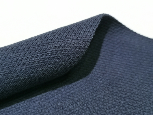 Flame Retardant Bird Eye Mesh Fabric